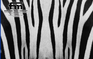 Zebra Card